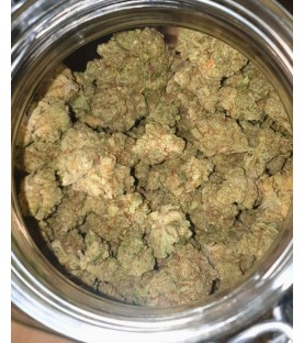 Fleurs CBD - Indoor Jack Herer 15% - au Gramme