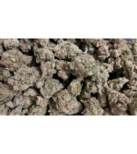 Fleurs CBD - Indoor Jack Herer 15% - au Gramme