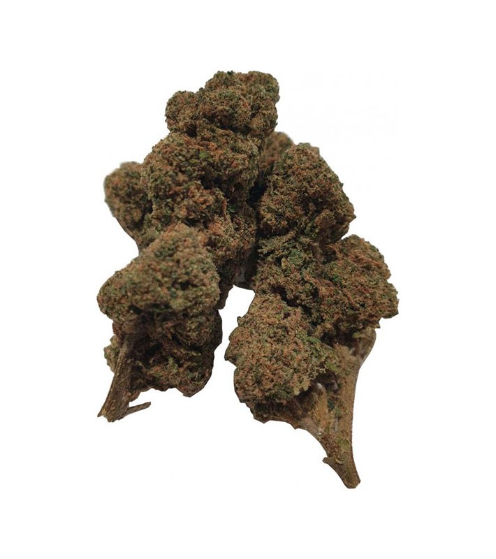 Fleurs CBD - Fruit Cake 23 - VRAC au Gramme