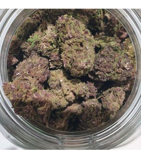 Fleurs CBD - Purple Power 0,2% THC  - Vrac au gramme