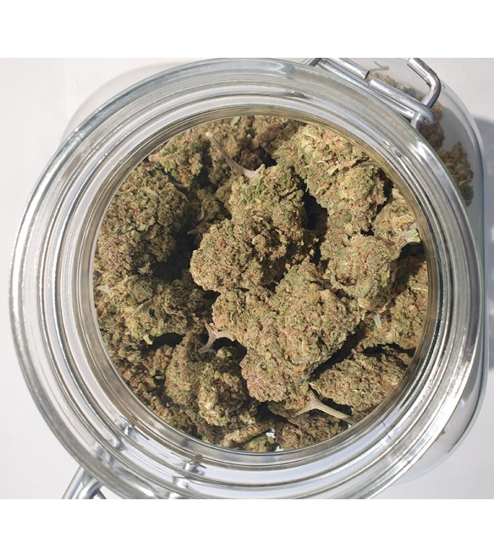 Fleurs CBD Sunset Sherbet - au Gramme