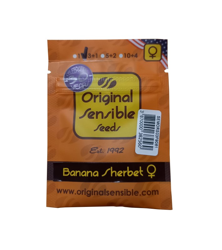 Original Sensi Banana Sherbet 3 graines