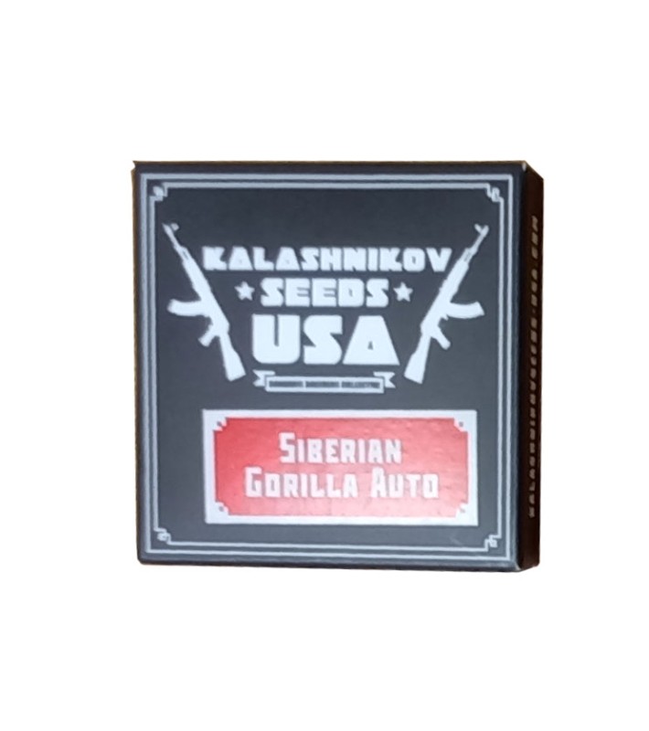 Kalashnikov Sibereian Gorilla Auto 3 graines